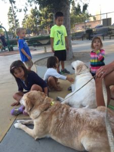 boys-and-dogs