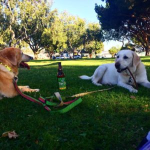 pups
